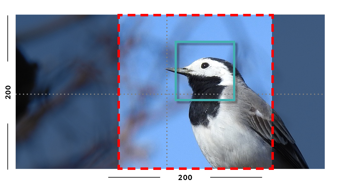 Example of fill filter on an image with a focal point set.