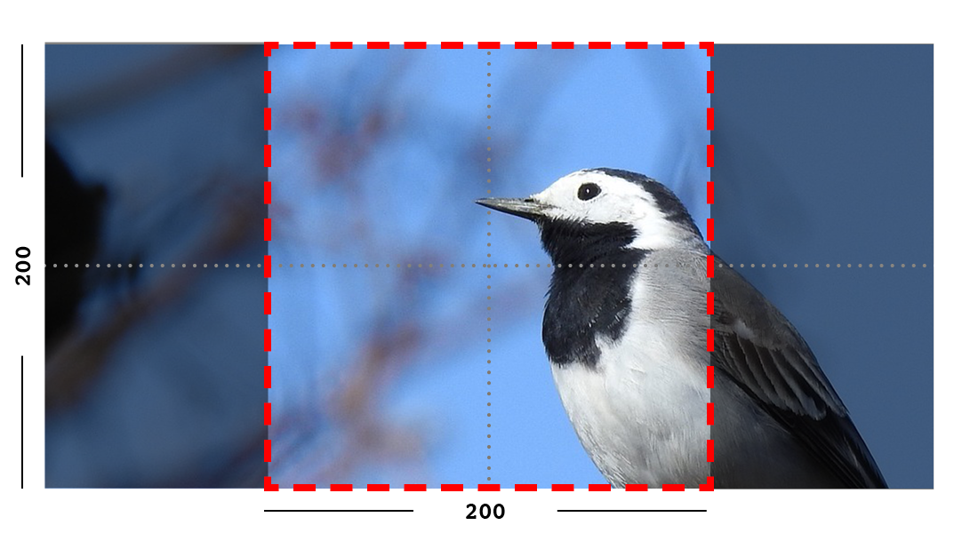 Example of fill filter on an image.