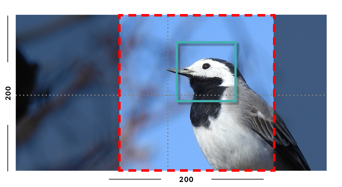 Example of fill filter on an image with a focal point set.